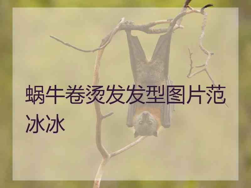 蜗牛卷烫发发型图片范冰冰