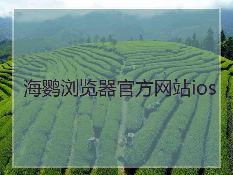 海鹦浏览器官方网站ios