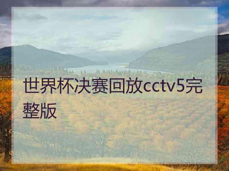 世界杯决赛回放cctv5完整版