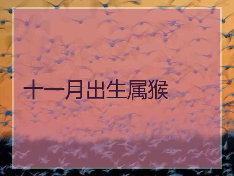 十一月出生属猴