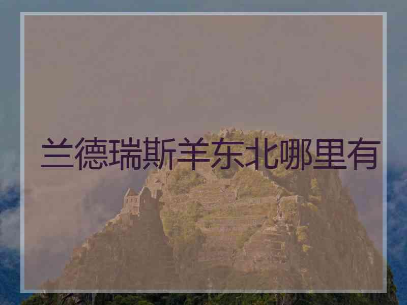 兰德瑞斯羊东北哪里有