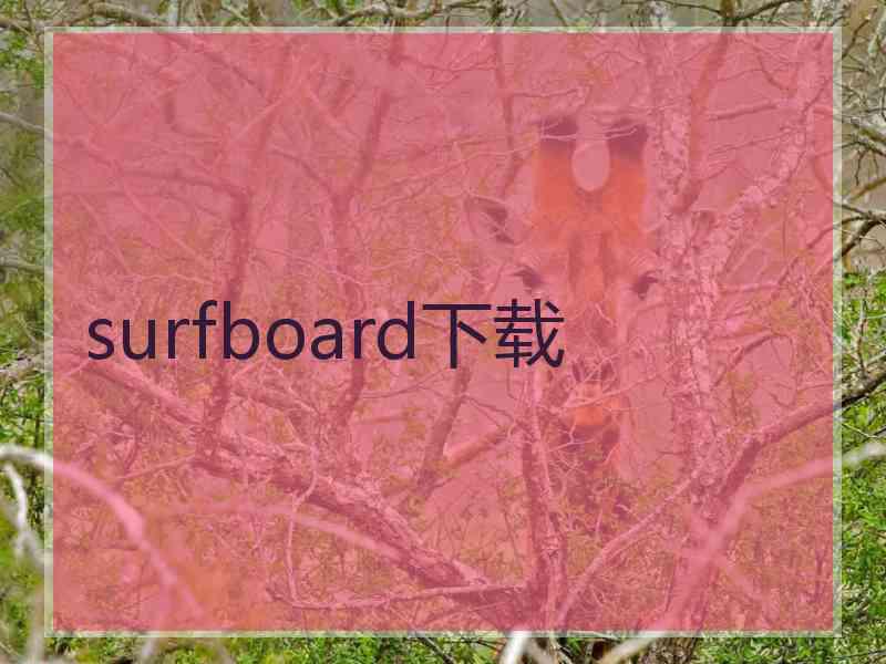 surfboard下载
