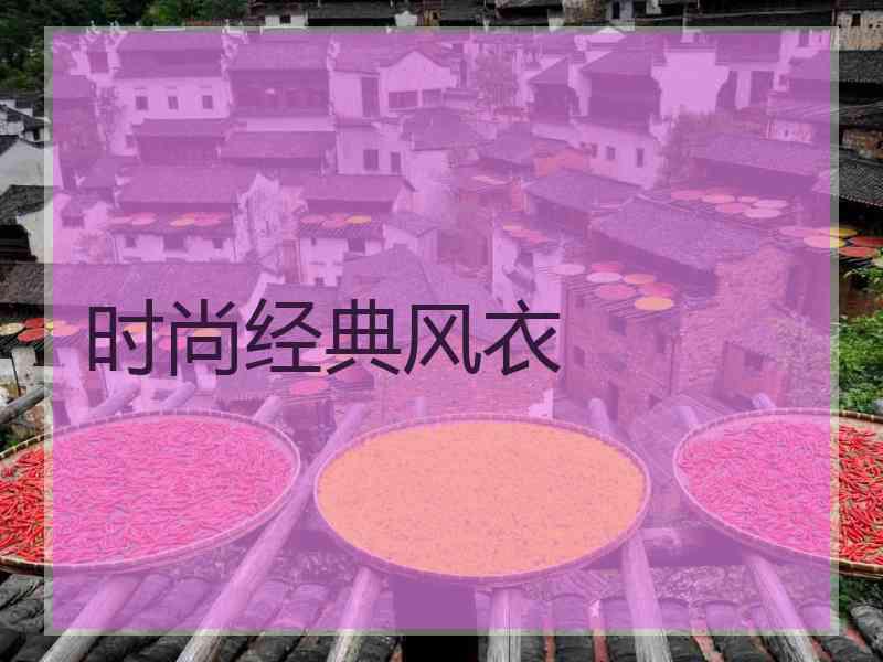 时尚经典风衣