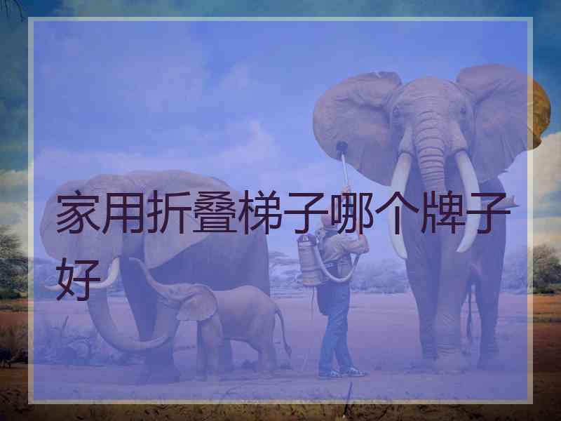 家用折叠梯子哪个牌子好