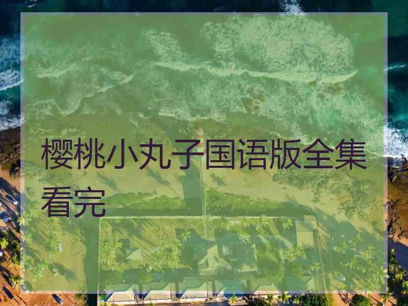 樱桃小丸子国语版全集看完