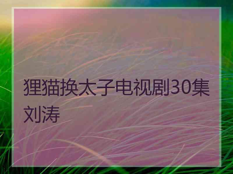 狸猫换太子电视剧30集刘涛