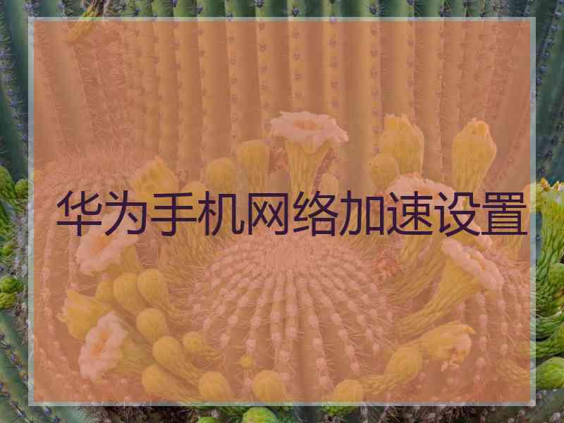 华为手机网络加速设置