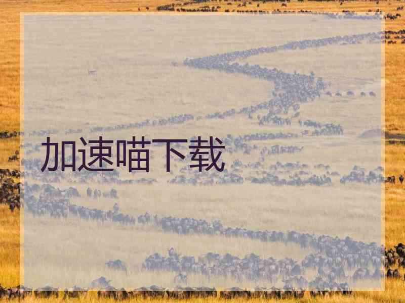 加速喵下载