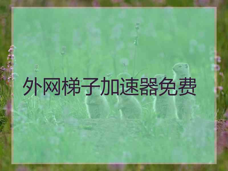 外网梯子加速器免费