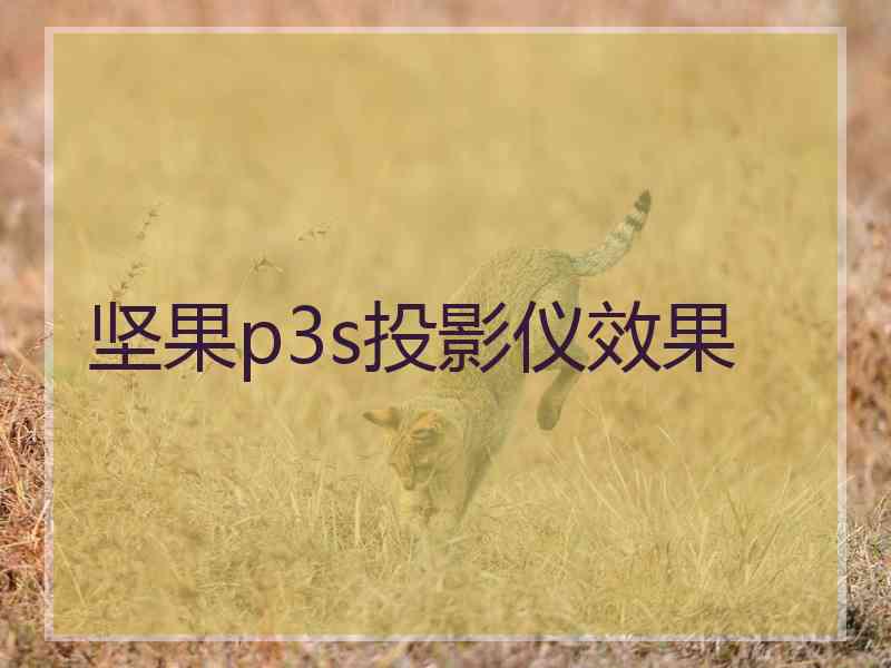 坚果p3s投影仪效果