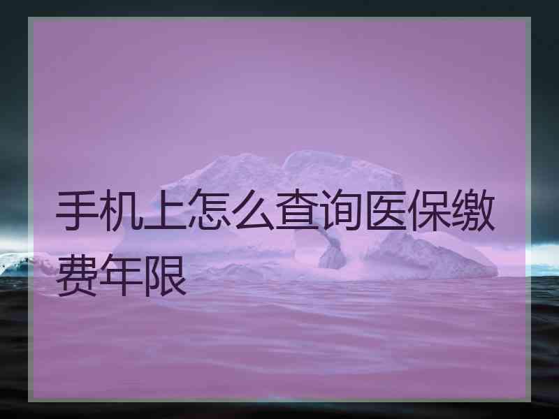 手机上怎么查询医保缴费年限