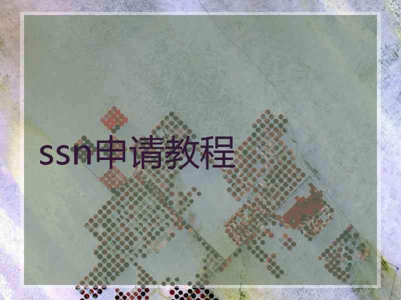 ssn申请教程