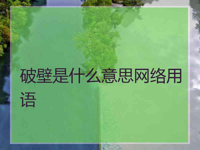 破壁是什么意思网络用语