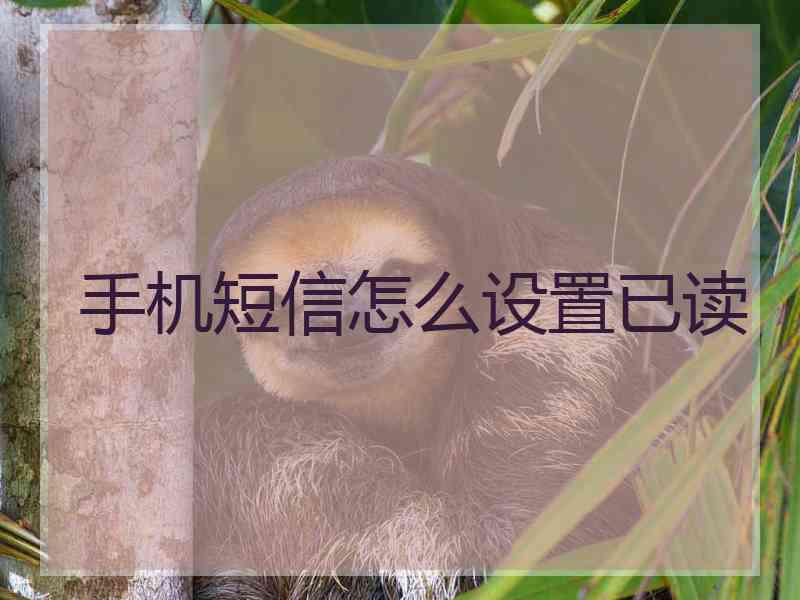 手机短信怎么设置已读
