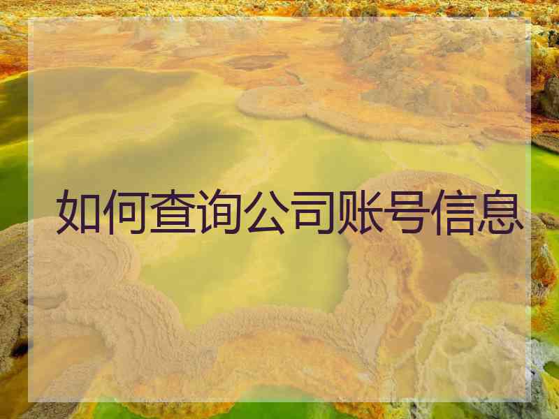 如何查询公司账号信息