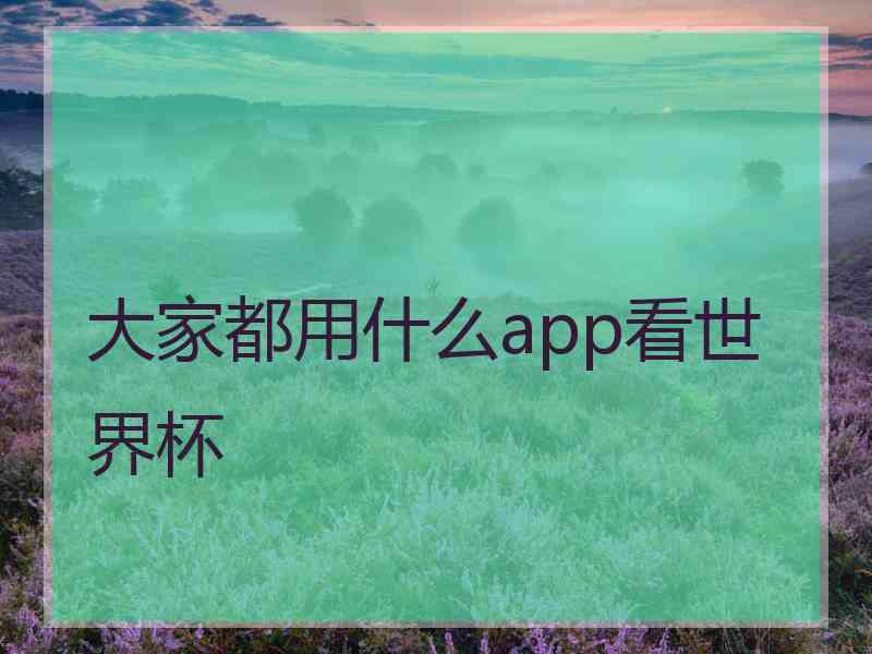 大家都用什么app看世界杯