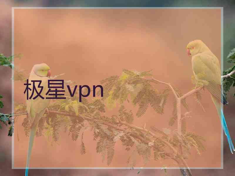 极星vpn