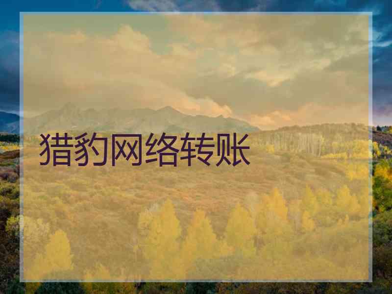 猎豹网络转账