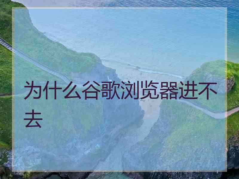 为什么谷歌浏览器进不去