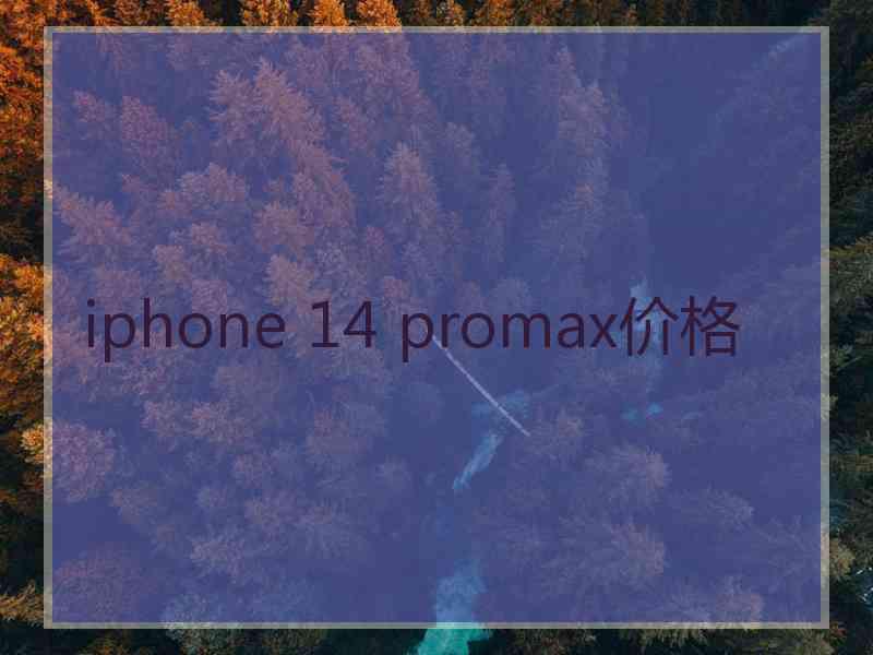 iphone 14 promax价格