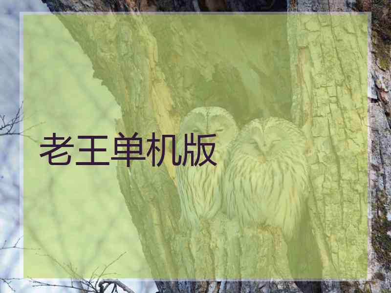 老王单机版