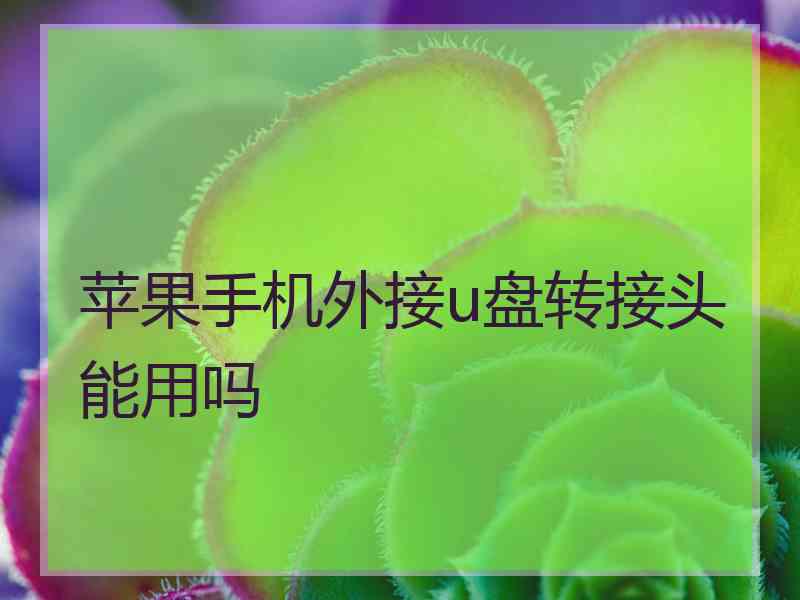 苹果手机外接u盘转接头能用吗