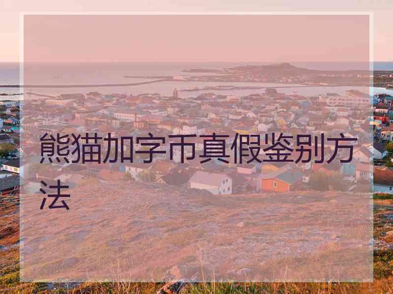 熊猫加字币真假鉴别方法