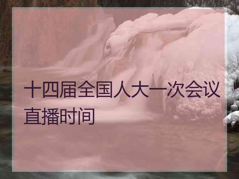 十四届全国人大一次会议直播时间