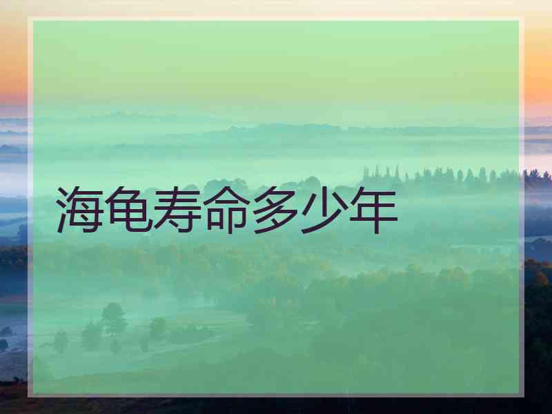 海龟寿命多少年