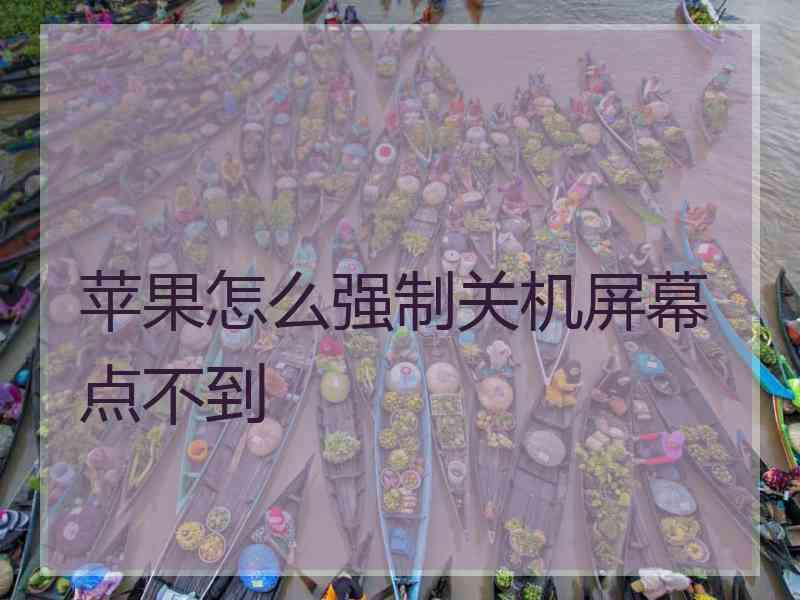 苹果怎么强制关机屏幕点不到