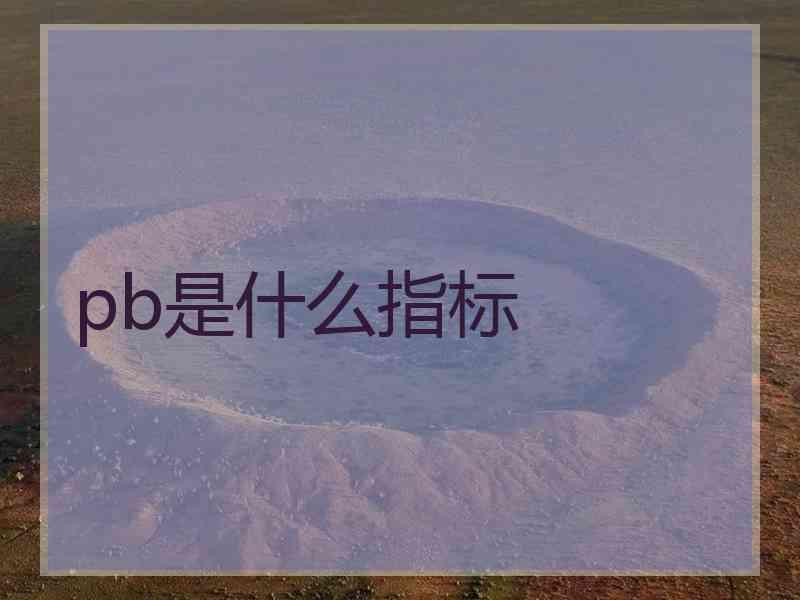 pb是什么指标