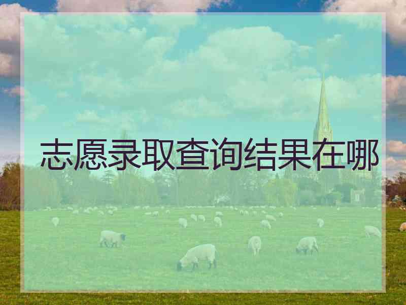 志愿录取查询结果在哪
