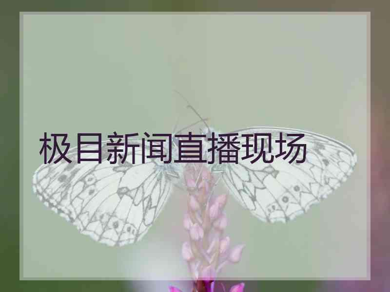 极目新闻直播现场