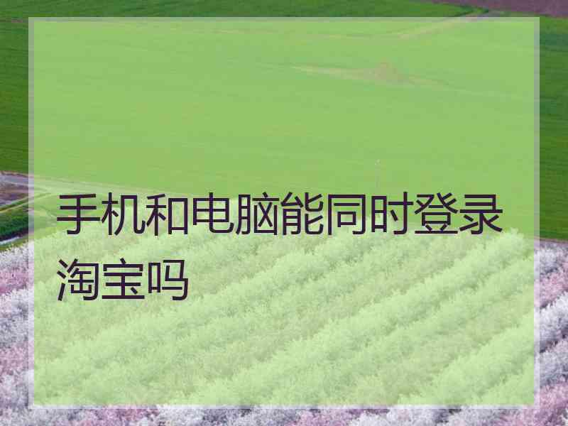手机和电脑能同时登录淘宝吗