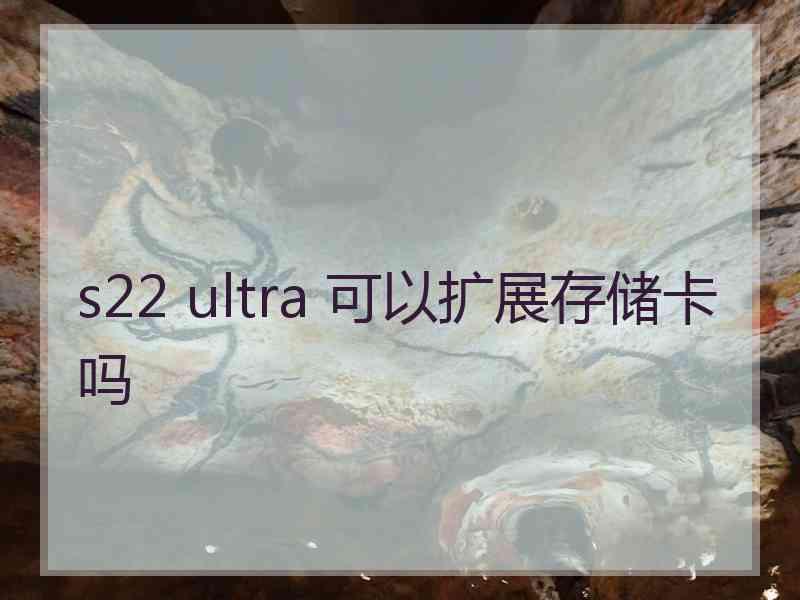 s22 ultra 可以扩展存储卡吗