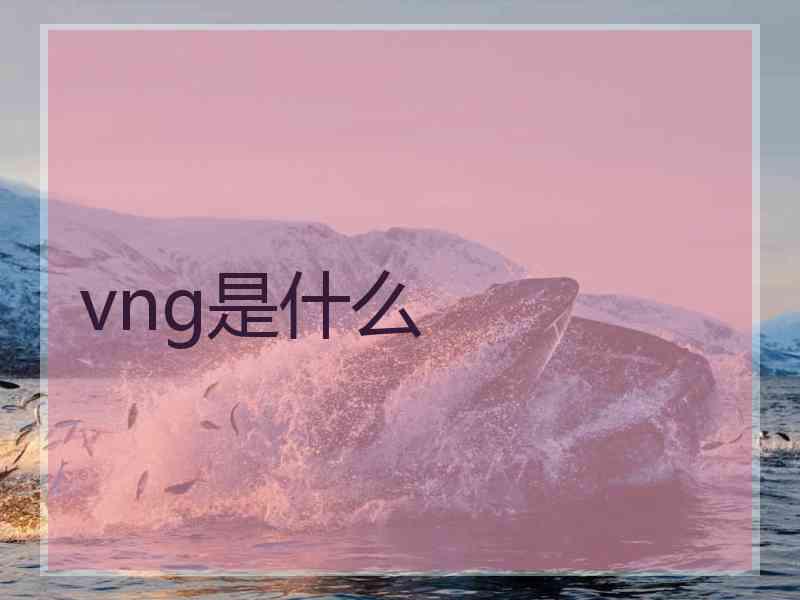 vng是什么