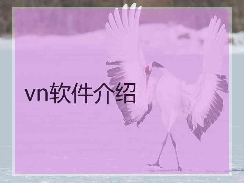 vn软件介绍