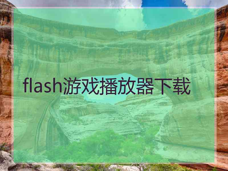 flash游戏播放器下载