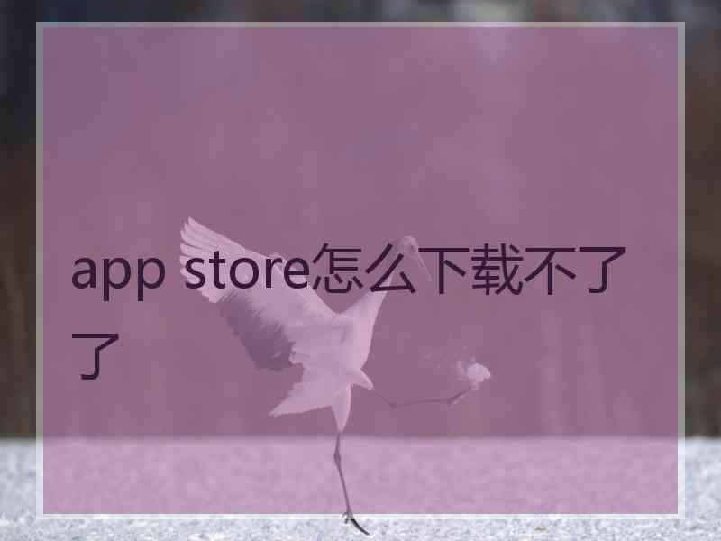 app store怎么下载不了了