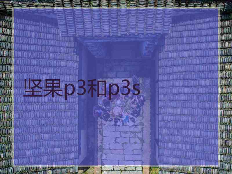 坚果p3和p3s