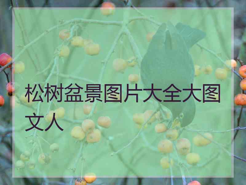 松树盆景图片大全大图文人