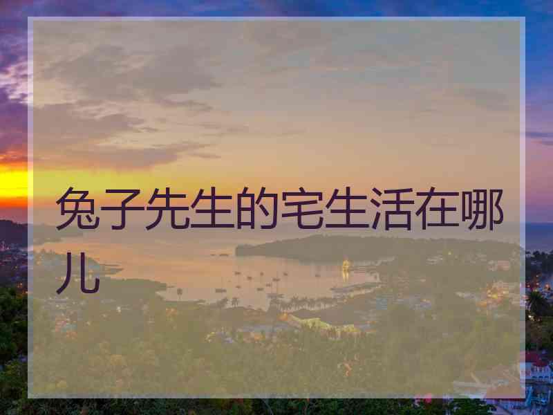 兔子先生的宅生活在哪儿