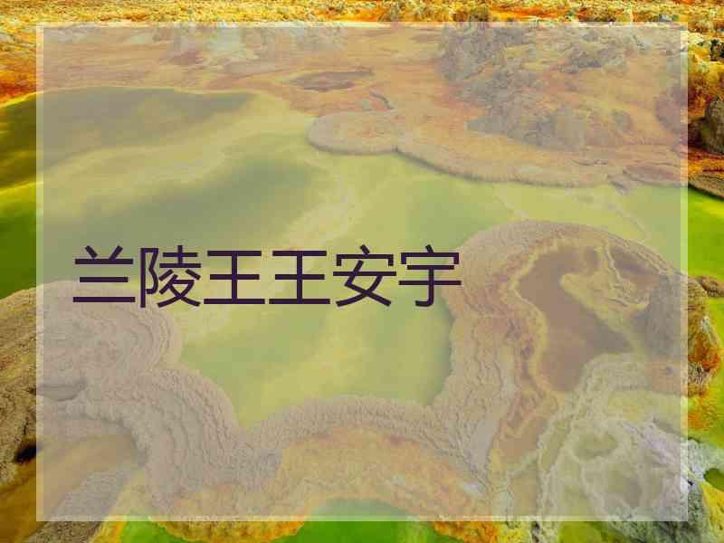 兰陵王王安宇
