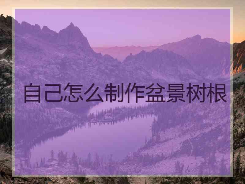 自己怎么制作盆景树根