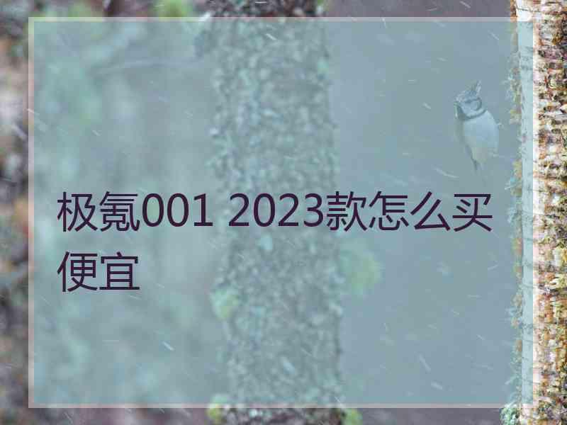 极氪001 2023款怎么买便宜