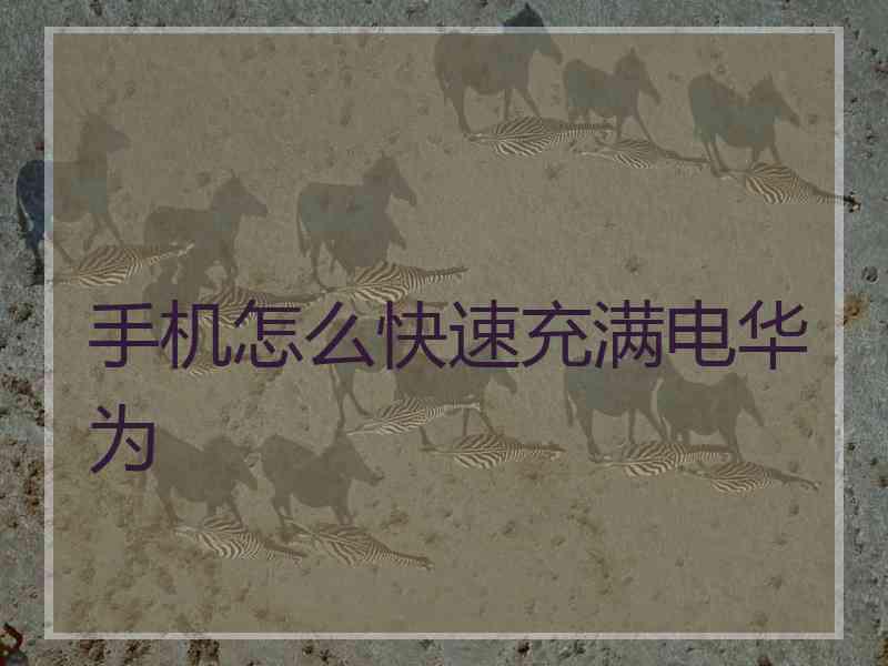 手机怎么快速充满电华为