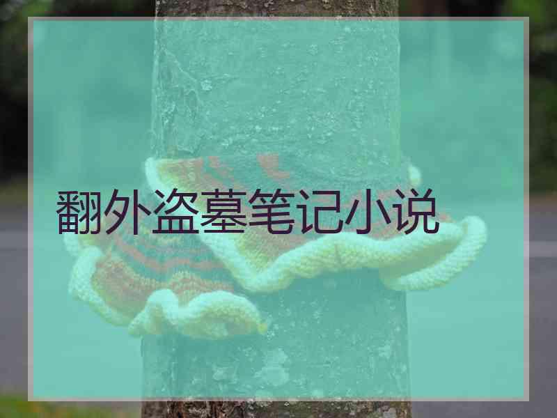 翻外盗墓笔记小说