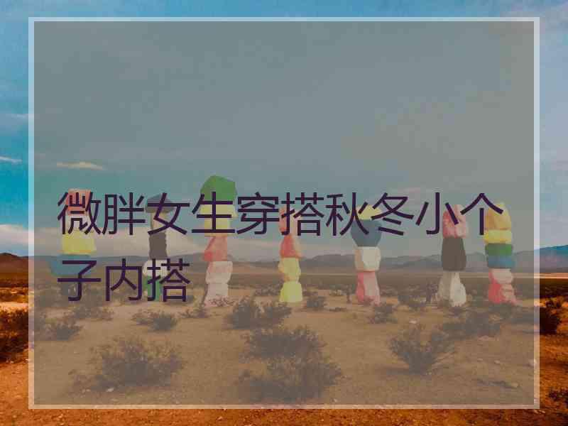 微胖女生穿搭秋冬小个子内搭