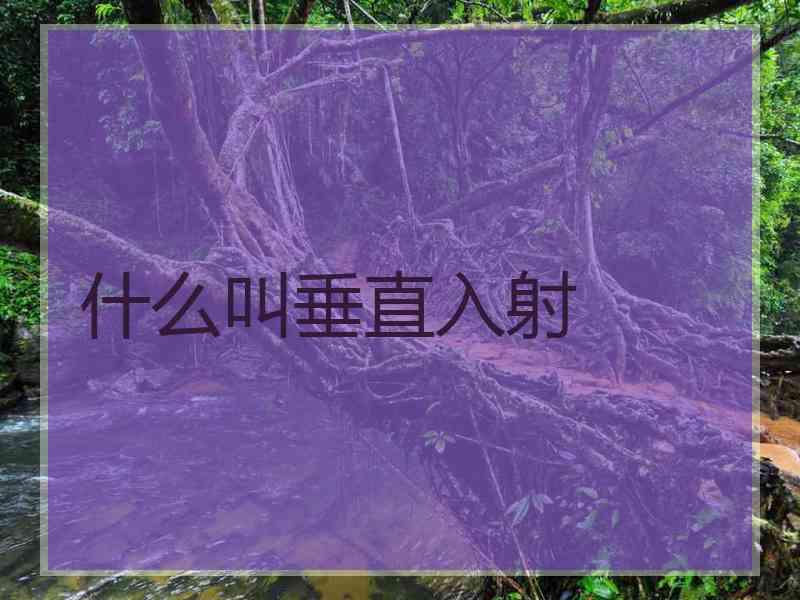 什么叫垂直入射