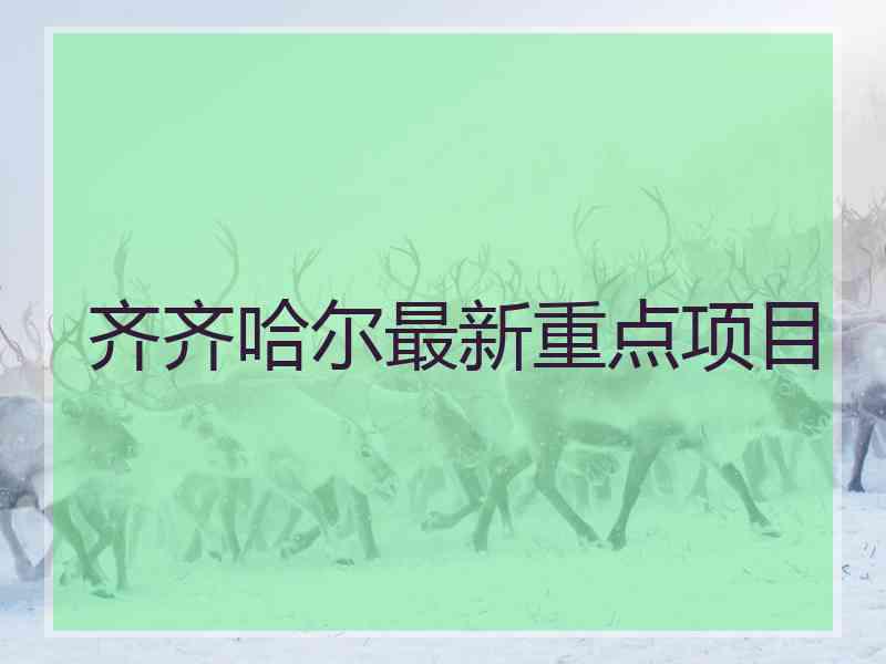 齐齐哈尔最新重点项目